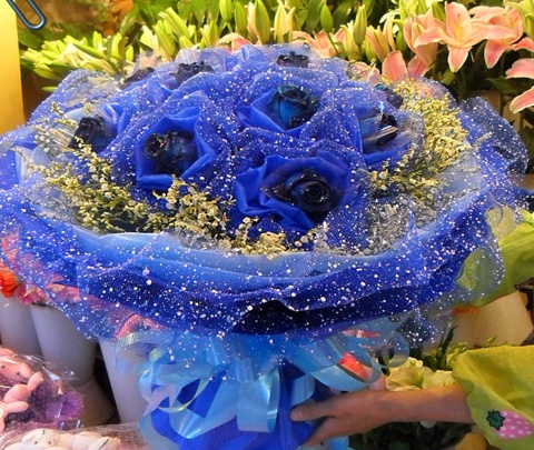 蓝色妖姬代表什么含义蓝色妖姬的花语