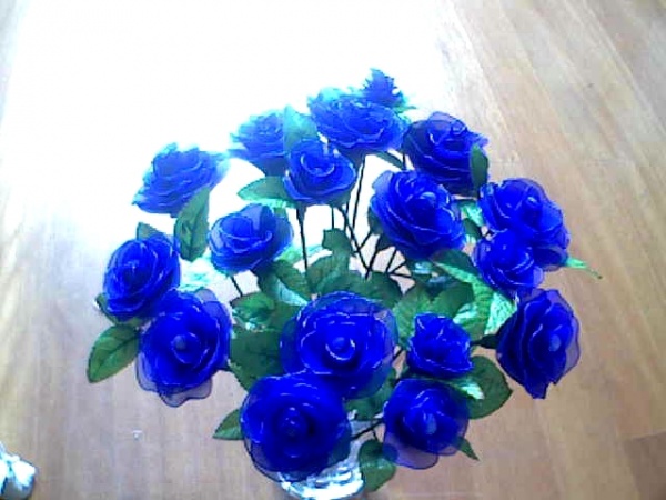天然蓝玫瑰代表什么意思
