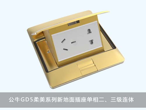 公牛GD5柔美系列新地面插座单相二、三级连体