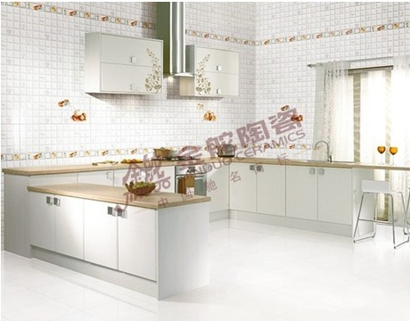 金舵陶瓷 “爬墙虎”系列厨房装修效果图 规格：300X450mm