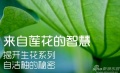 源于莲花的智慧 - 揭开汉舍卫浴生花系列自洁釉的秘密