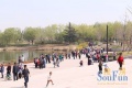 南海子公园清明假期游人爆满，亦庄引领北京生态新地标