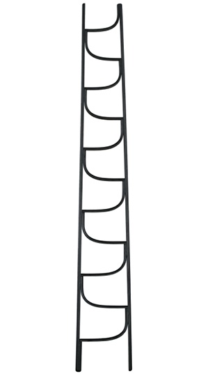 LADDER