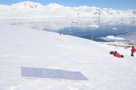 MPE南极实验活动大PK，本月见分晓