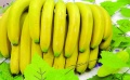 岛城香蕉市场供销平稳