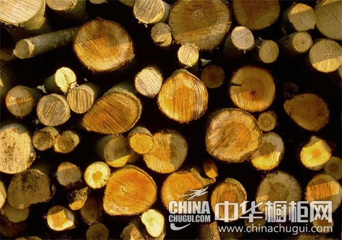 实木板材多进口 黑龙江禁伐对橱柜行业影响不大 