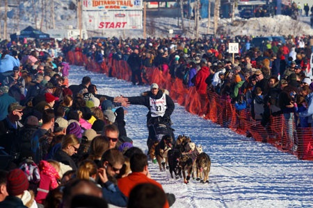 全球最盛大的雪橇犬拉力大赛