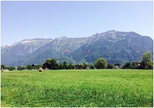在Hohematte草地上空，可以看到许多玩滑翔伞的人。