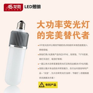  (龙胜LED照明专利产品“光宝”系列) 