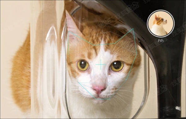 潮家居：带猫脸识别的智能喂猫器Bistro