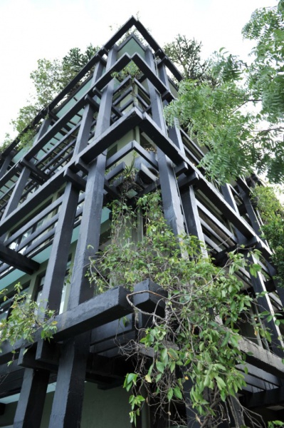 酒店的垂直绿化将建筑立面植物化了