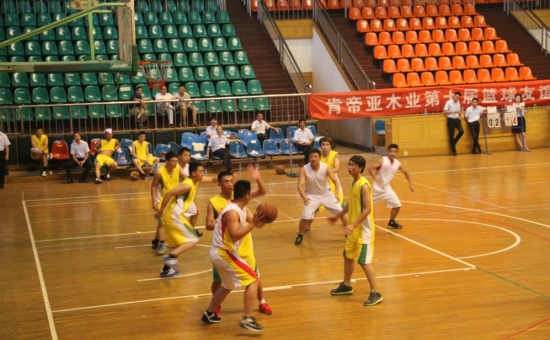 肯帝亚木业篮球赛：激情绽放，超越梦想