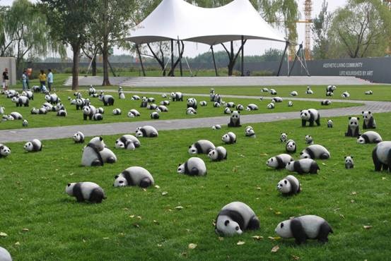 嘉都虫洞乐园欢乐盛放 数百只熊猫萌翻众人