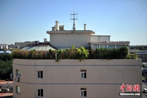 北京一大厦楼顶建“空中花园” 或被执行强拆