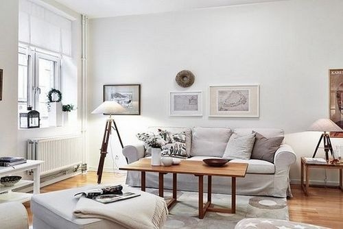 瑞典风格秋季色系公寓 客厅
