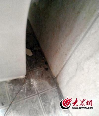 三庆青年城未取得竣工验收备案擅自交房 建委：可拒绝收房
