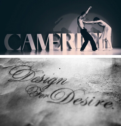 锐驰品牌slogan “Design for Desire 为欲望而生”