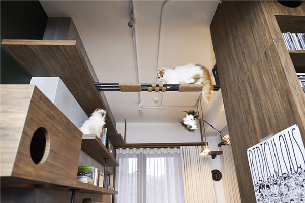 台湾78平米工业风猫咪公寓