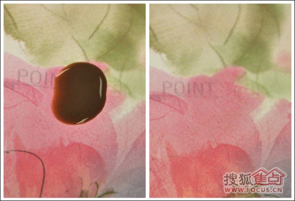 布鲁斯特紫藤满园壁纸耐污性能评测