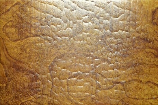 鳄榆木瓷砖外观