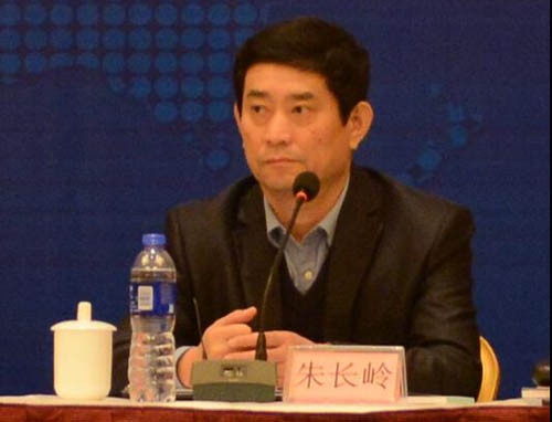 中国家具协会理事长、全国家具标准化技术委员会主任委员 朱长岭