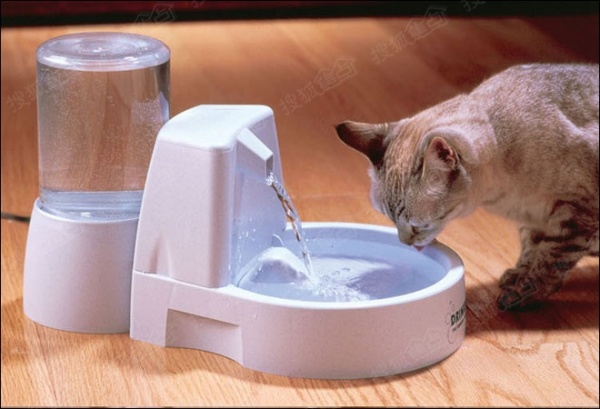 家有猫星人必备潮物：Drinkwell喷泉饮水机