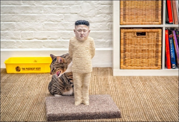 乐：Kim Jong-un恶搞造型猫抓板