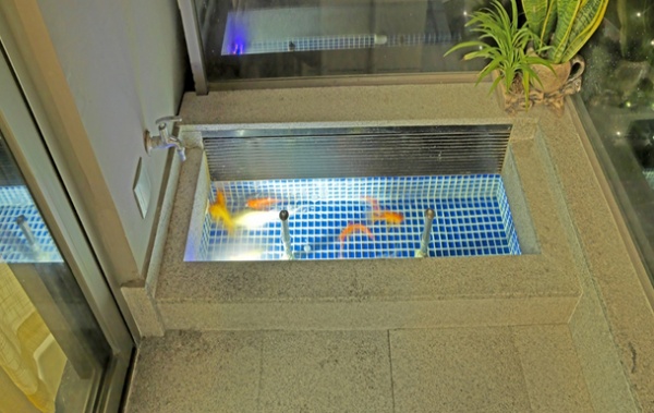 阳台鱼池设计效果图和阳台水池装修效果图