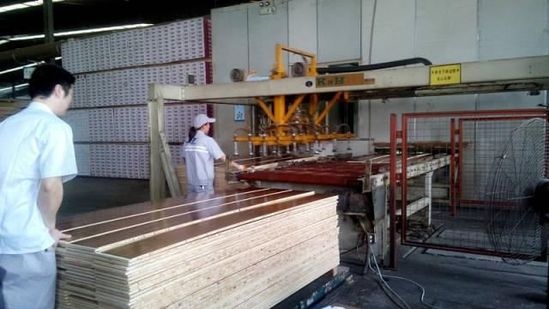 圣象三层实木复合地板工厂内为半机械化半人工化作业，工人们会在机械作业前再次细心挑选木材，查看有无虫眼、腐蚀等质量问题