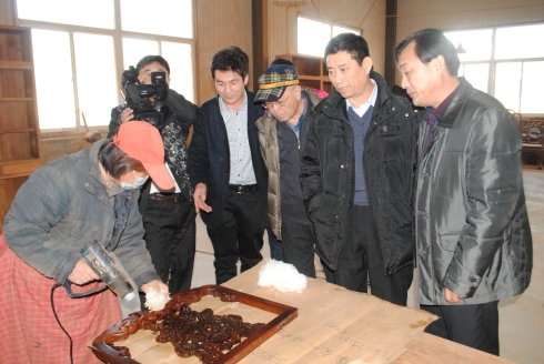 涞水京作红木文化节引众瞩目:高性价比家具被竞相选购