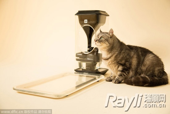 奇群科技子公司42ARK整合猫脸辨识，正确分辨及计算猫吃饭以及喝水的饮食量。