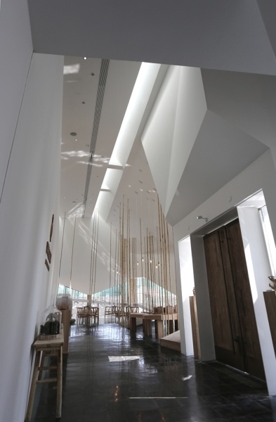 冯羽成IF奖室内建筑类金奖的第一位华人设计师