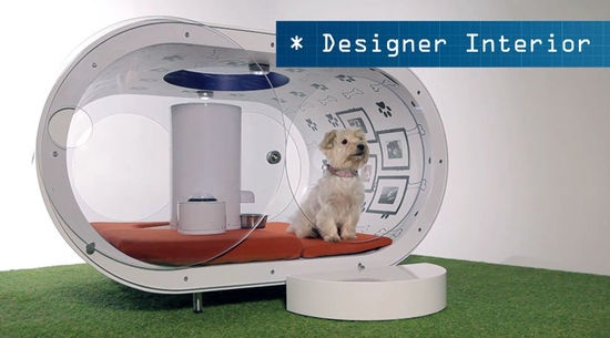 三星公司请了专业的建筑设计师来为狗狗打造高科技豪华狗别墅Dream Doghouse