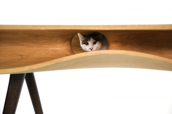 米兰设计周“心·物”展之阮昊：猫桌2.0