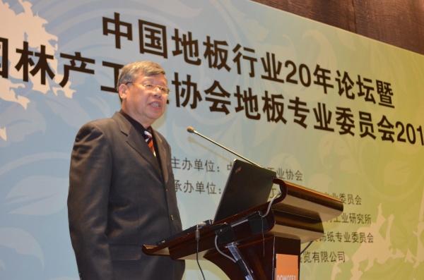 中国林产业协会地板专业委员会理事长 叶克林