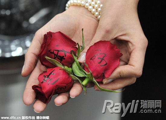 用记号笔给3朵开得正艳的红玫瑰在花瓣上做记号