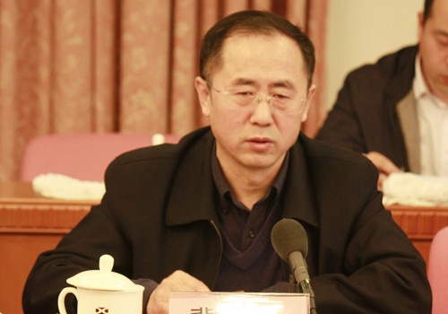分会秘书长冀志江博士对2015年硅藻泥行业形势进行了全面分析