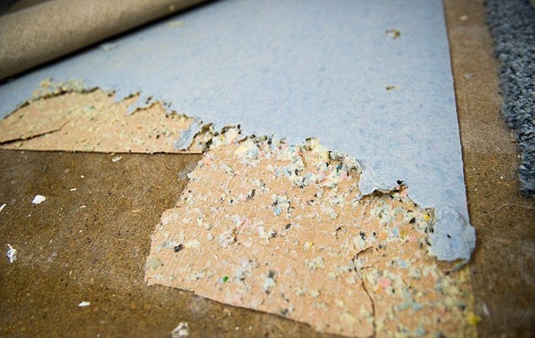 杰西卡·奈特喜欢吃地毯衬垫和家具填充物，图为被啃过的地垫。