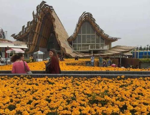 场馆的设计汇聚了设计师们向中国传统抬梁式木构架屋顶致敬的诚意