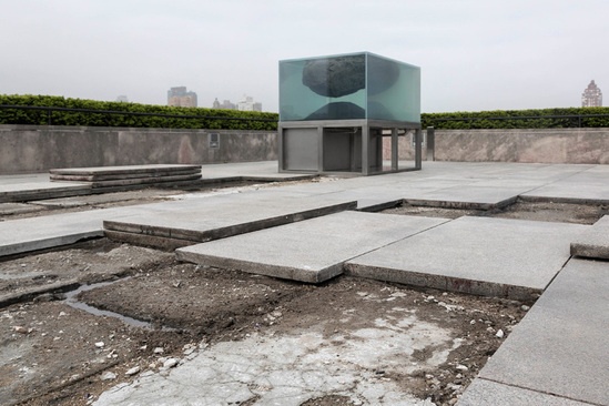 大都会艺术博物馆屋顶上的新生态系统