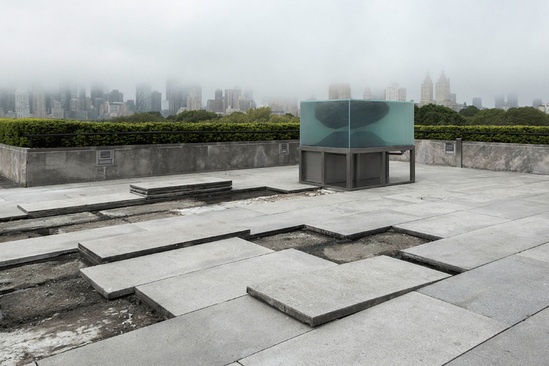 大都会艺术博物馆屋顶上的新生态系统