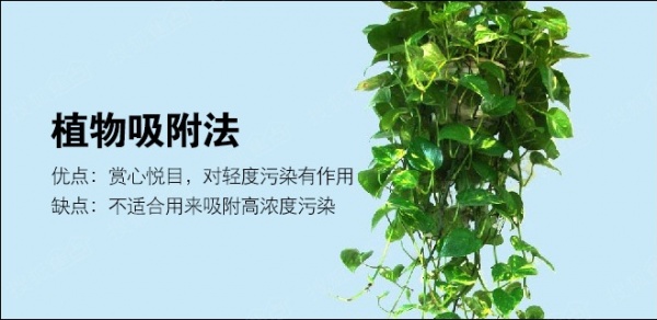 植物吸附法