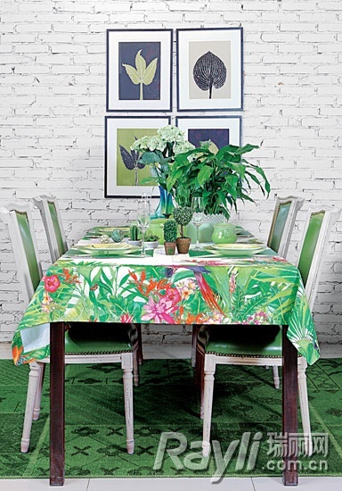 餐桌上满眼绿意圆雨林情结