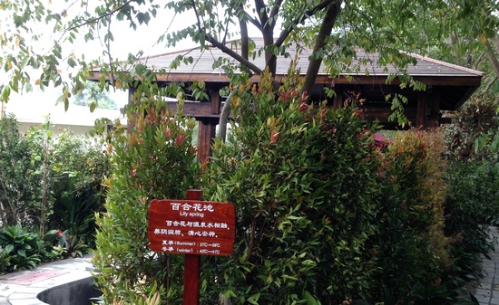 【景观设计】云浮新兴龙山温泉酒店旅游度假区