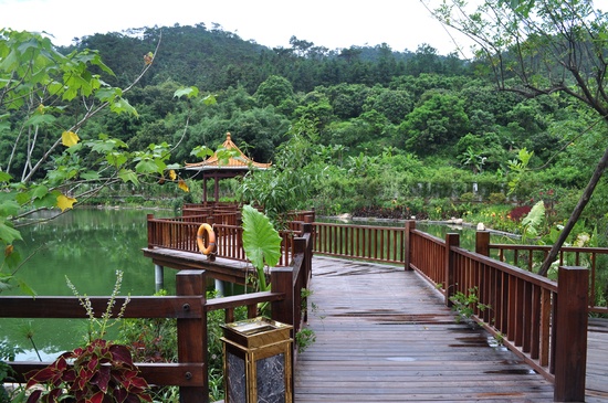 【景观设计】云浮新兴龙山温泉酒店旅游度假区