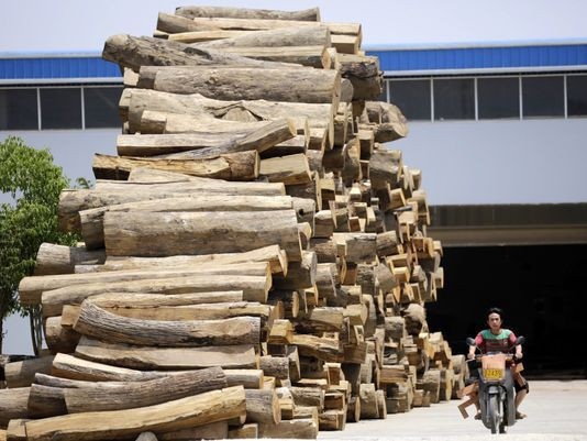 图片为2012年5月25日，临近缅甸边界的云南省瑞丽自治州的一家家具厂门前堆满了木材。（图片来源：《今日美国》）