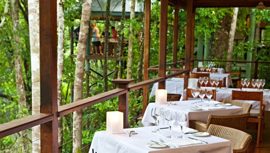开放式的餐厅，没有玻璃窗，餐桌外就是触手可及的热带树木