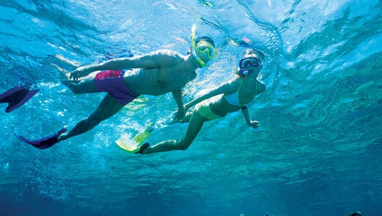 海豚岛的布莱水域Bligh Water是世界顶级的潜水地