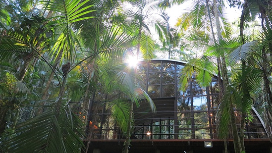 建筑与周边环境的高度关系，尤其是旁边的棕榈树