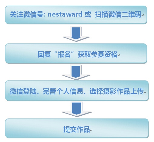 筑巢奖网络报名已启动，作品火热征集